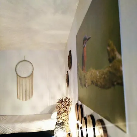 Atlantic Nature House לינה וארוחת בוקר Poco da Cruz