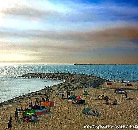 Atlantic Nature House 3* Poco da Cruz